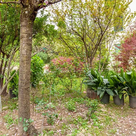 Apartman Loft Vicino A Dei Marmi